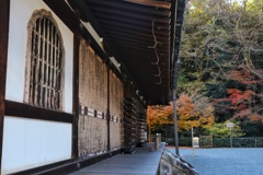 泉涌寺
