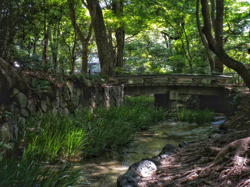 木陰のせせらぎ