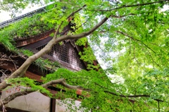 河合神社