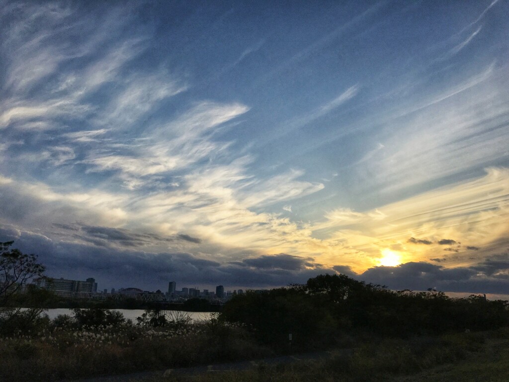 淀川上空