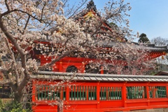 毘沙門堂門跡にて