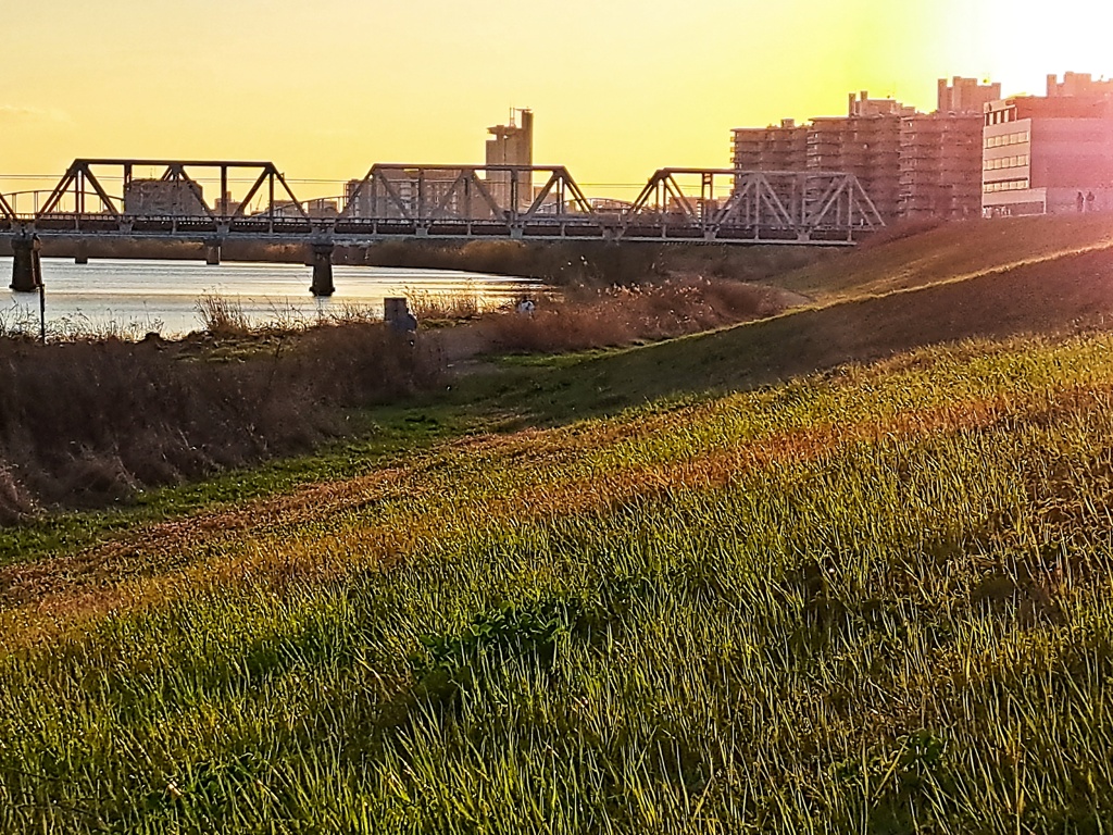 柔らかな夕陽に包まれる