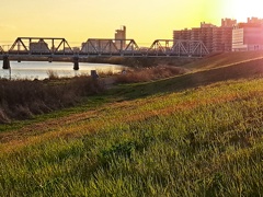 柔らかな夕陽に包まれる