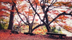 胡宮神社(滋賀県)