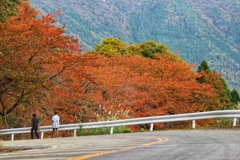 下りカーブの紅葉　