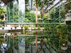続　植物園の温室