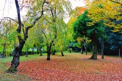 二条城　庭園