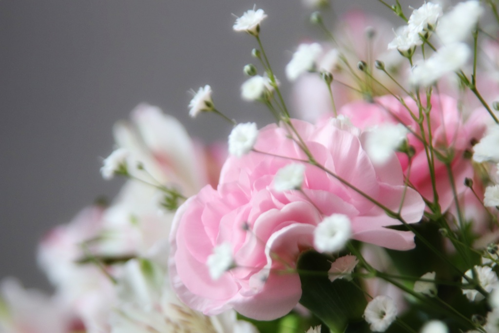 頂いた花を自宅で