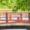 旧大乗院庭園にて