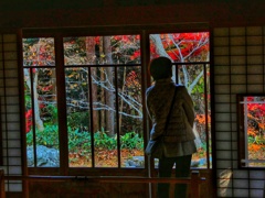 庭を愛でる