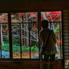 庭を愛でる