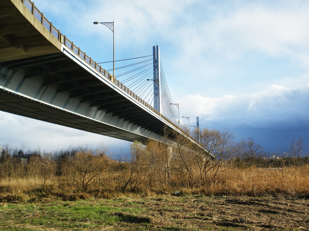 淀川　城北大橋