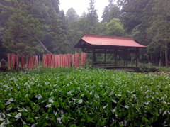 竹林寺（竹原市）