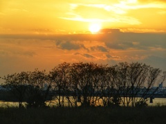 淀川夕景