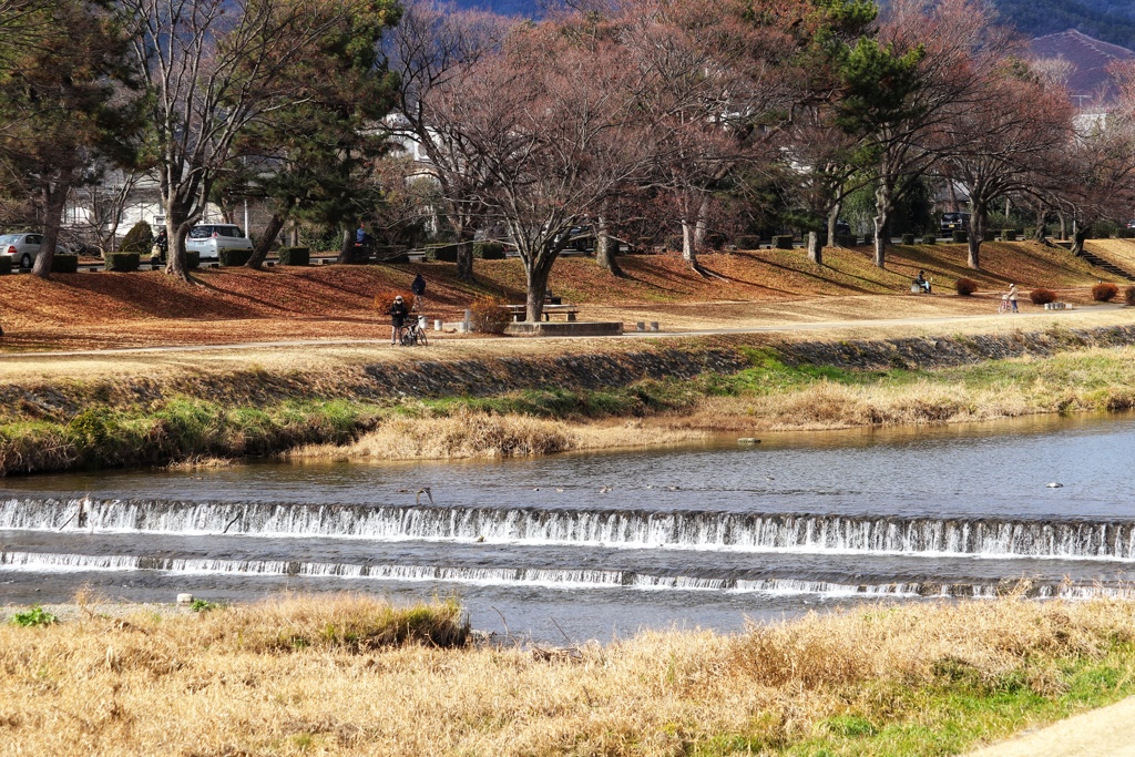 冬の賀茂川