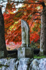 円通寺　石仏