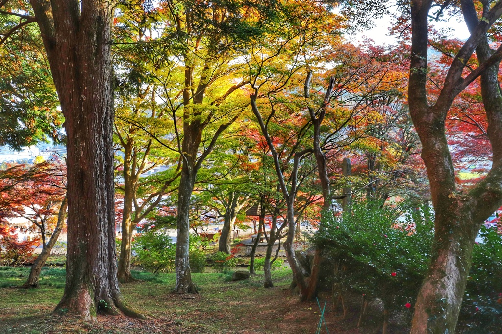 円通寺　境内（２）