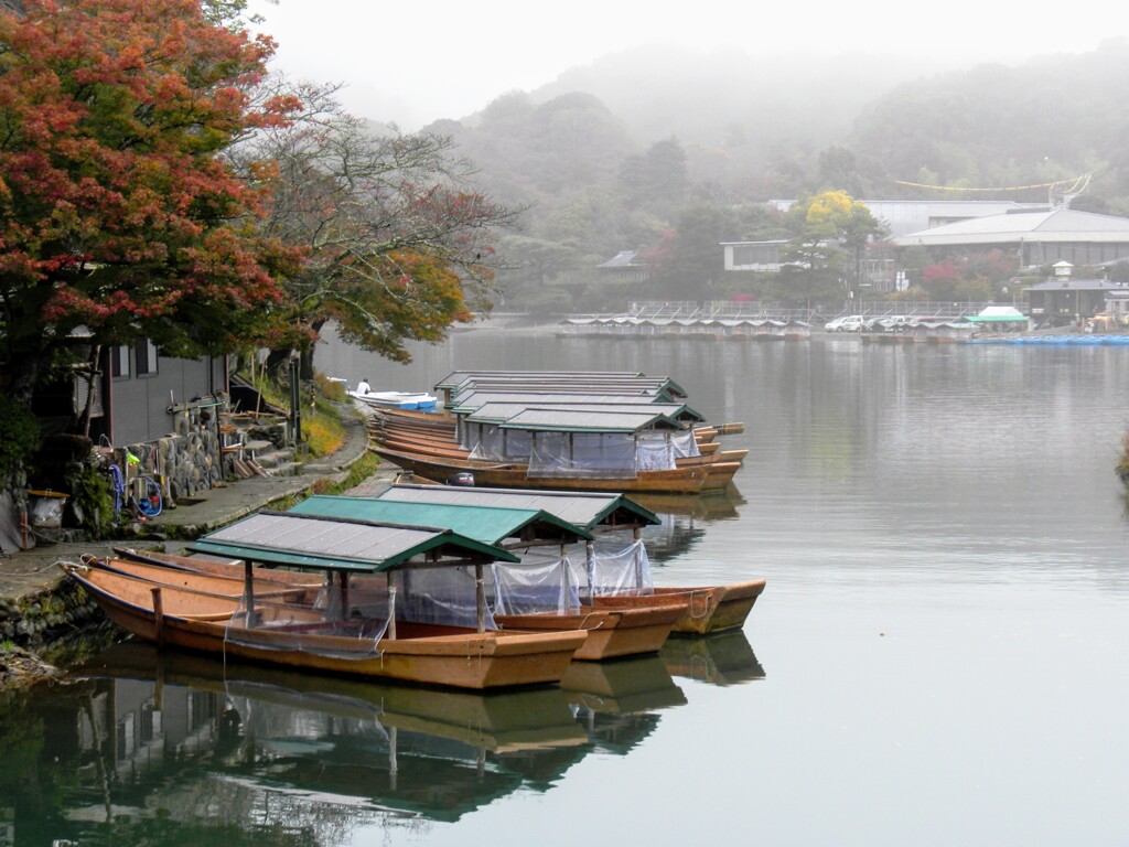雨上がりの嵐山