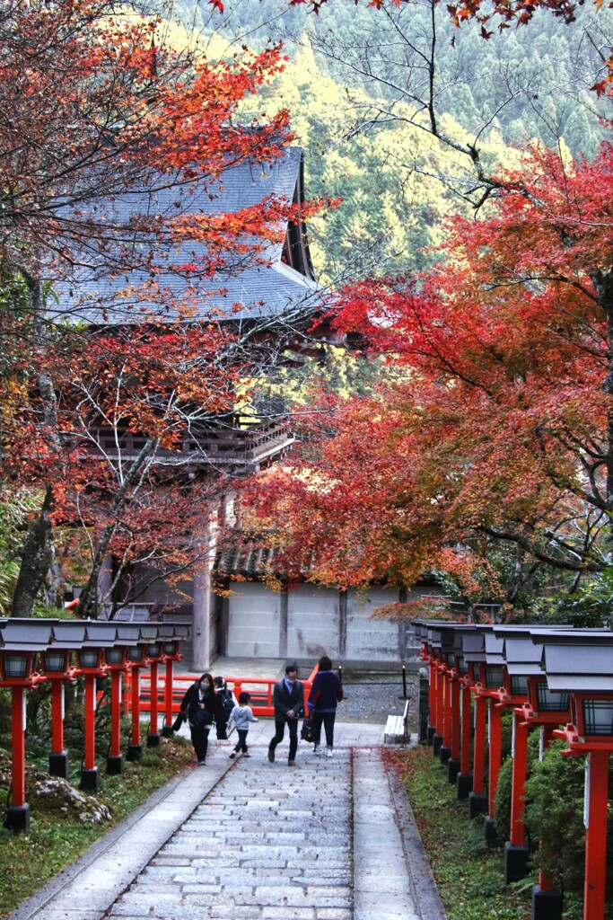 京都　鞍馬寺