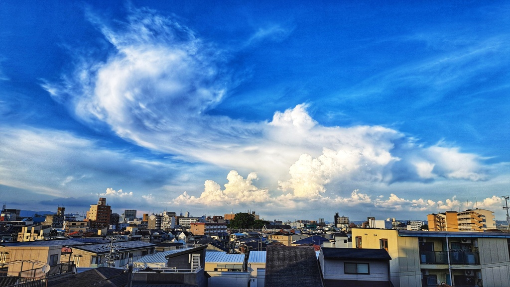 夏空