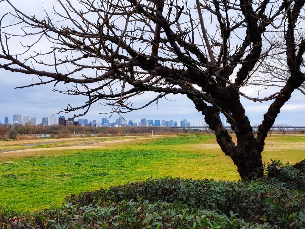 河川敷広場