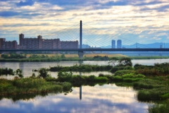 淀川朝景