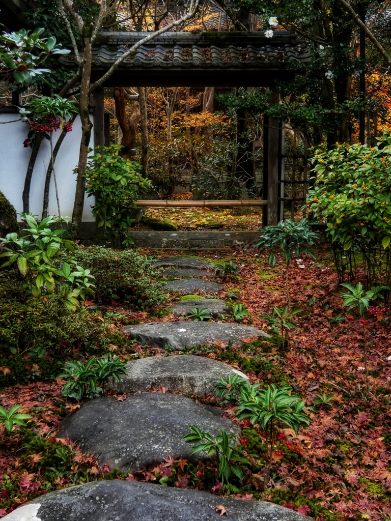 蓮華寺の紅葉
