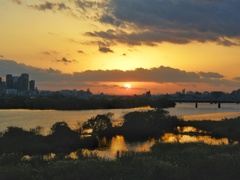 淀川夕景