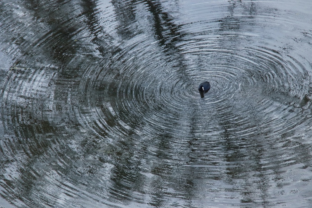 水紋