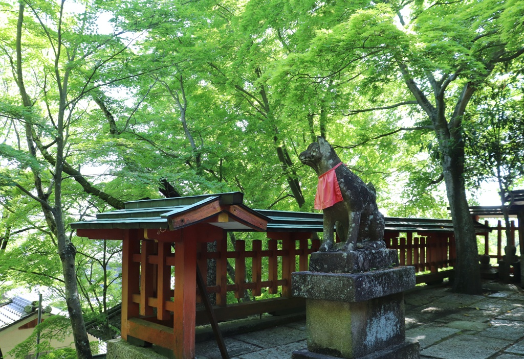 新緑の神社