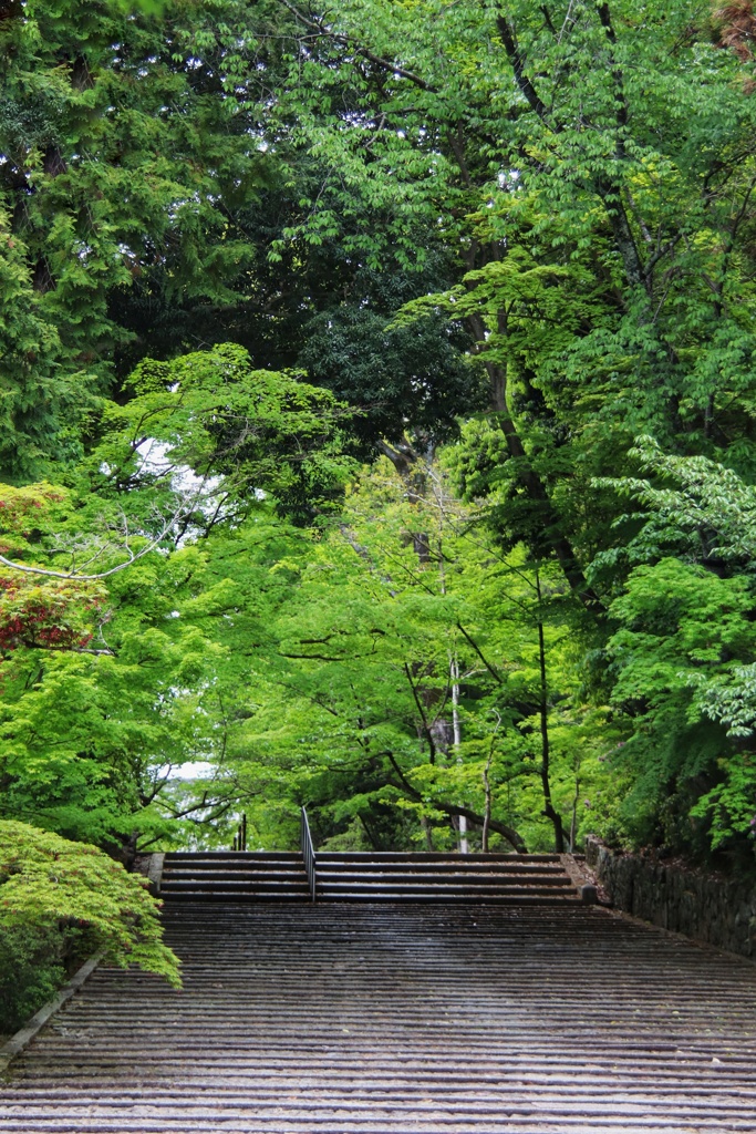 光明寺　表参道