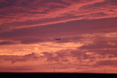 夕空の中を飛ぶ