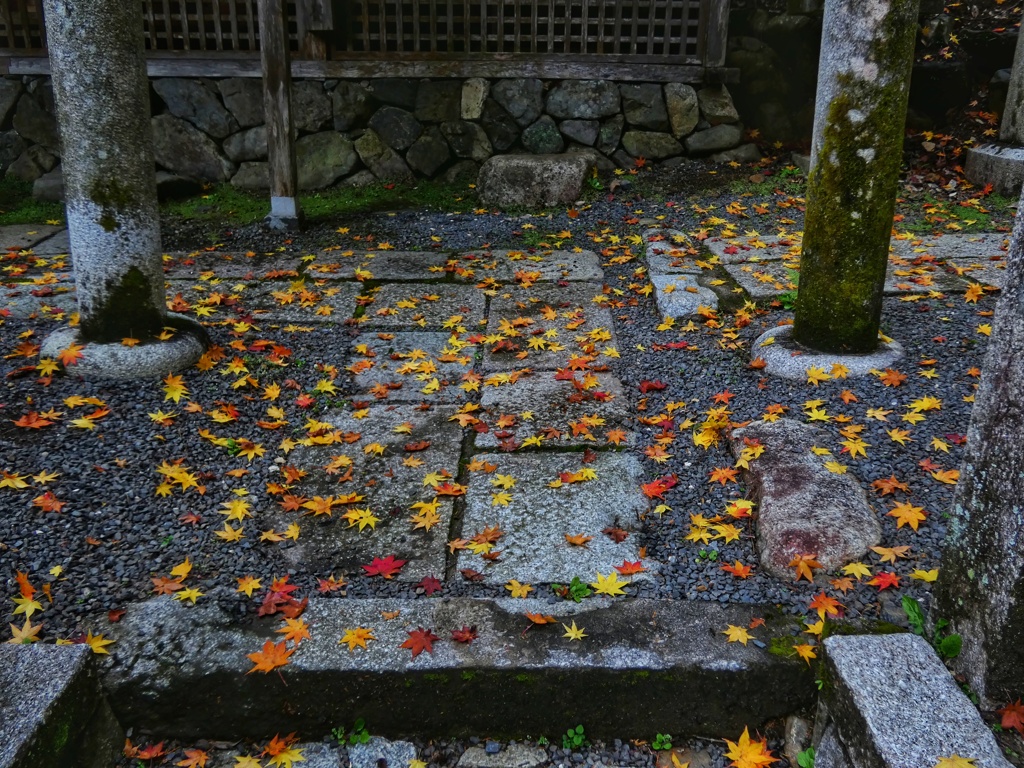 足元注意　星が落ちてます！