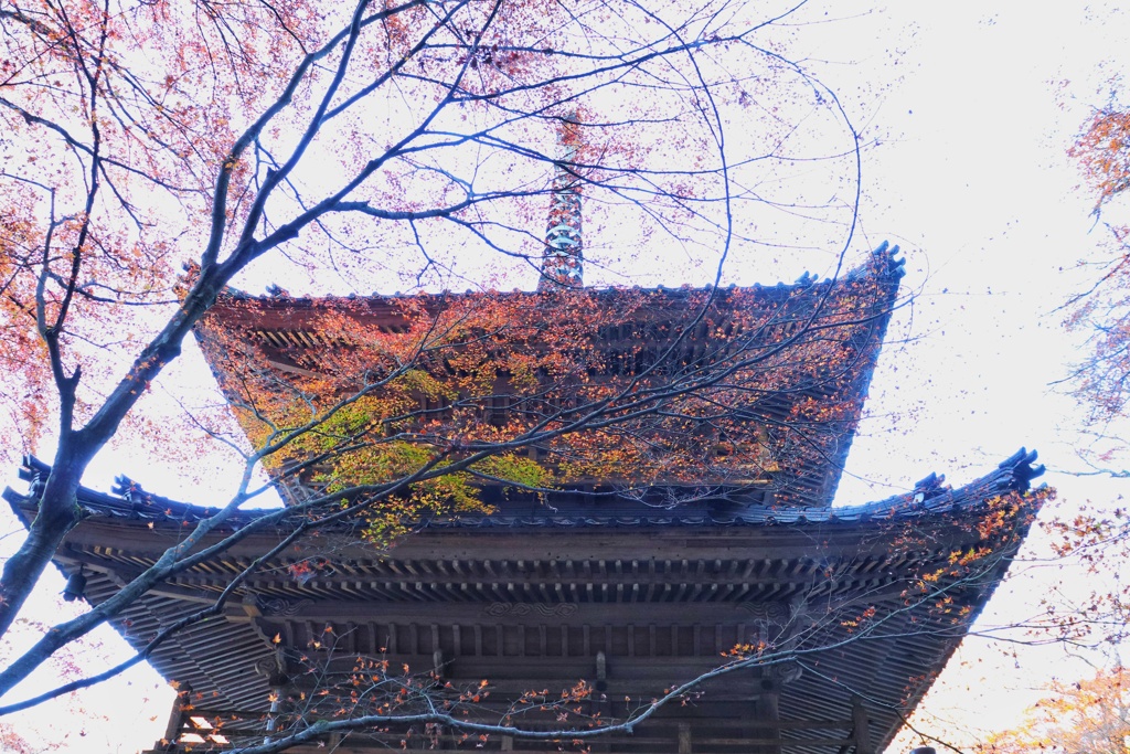 高源寺　多宝塔