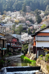 長谷寺を見上げてみる