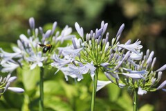 IMG_3674 (2)