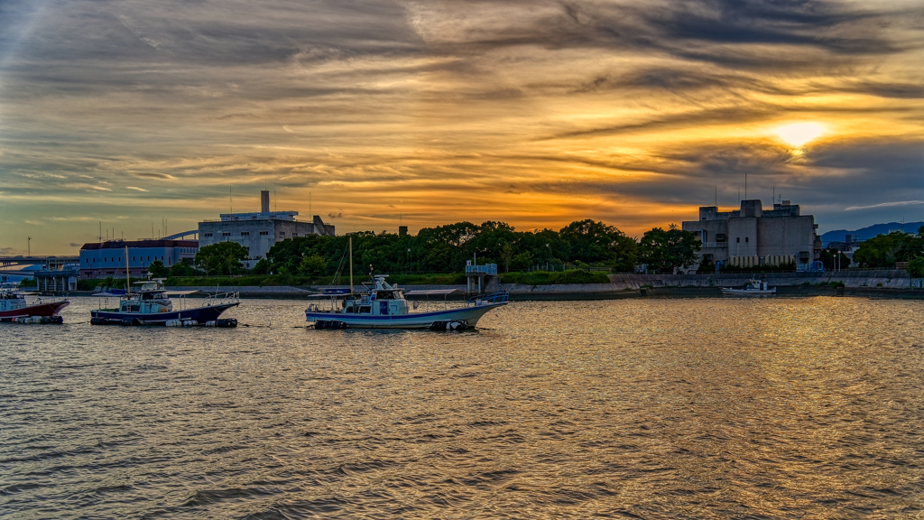 DSC00563_DxO_aurora_DxO