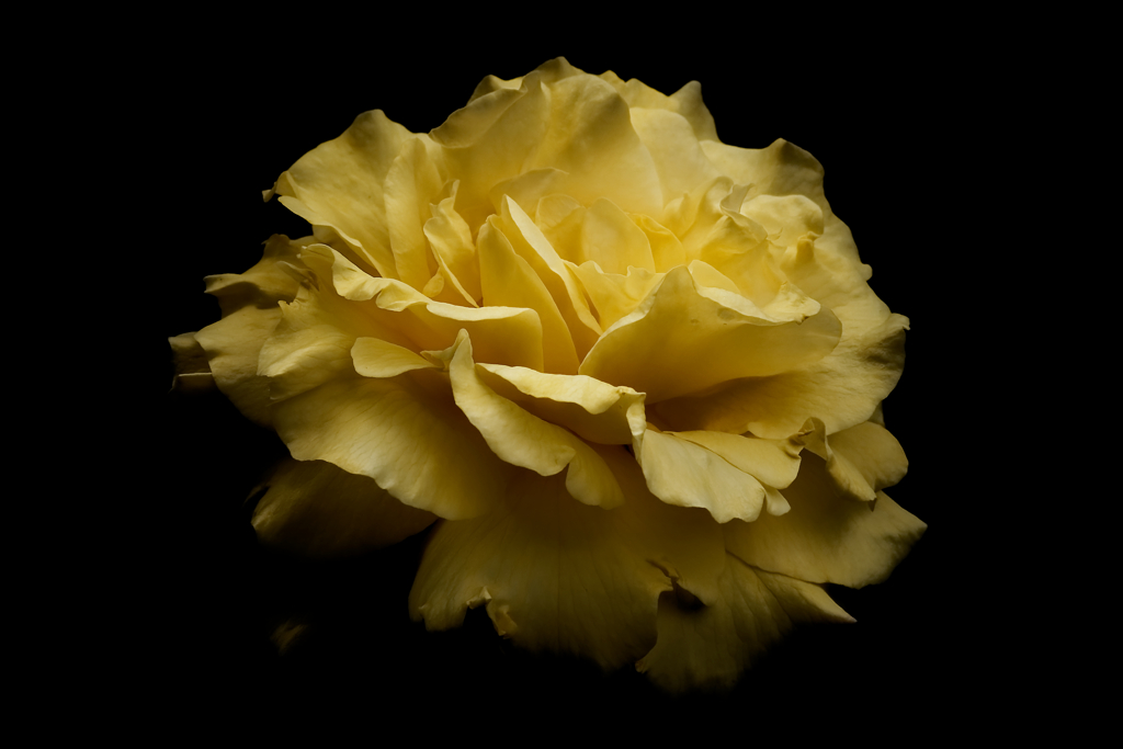 DSC00281_DxO