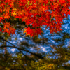 広島　紅葉谷