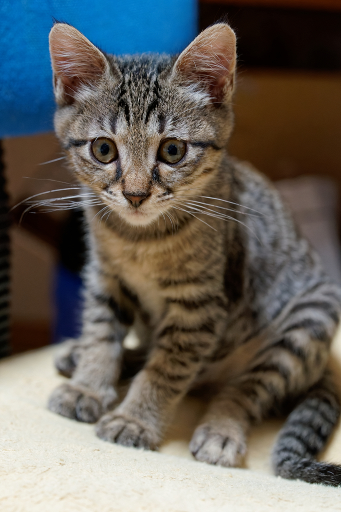 DSC01362_DxO