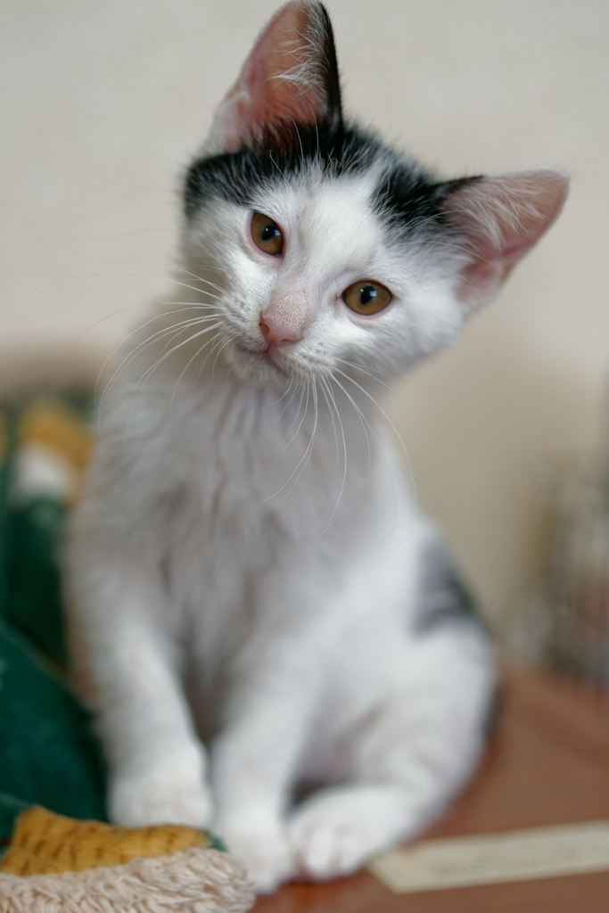 DSC01464_DxO
