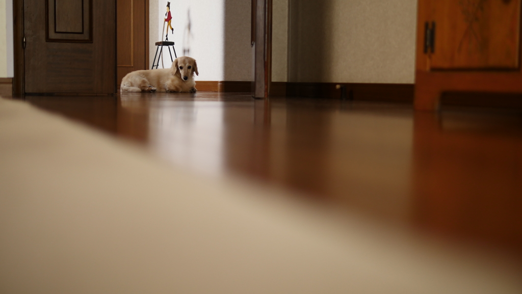 大好きなひと