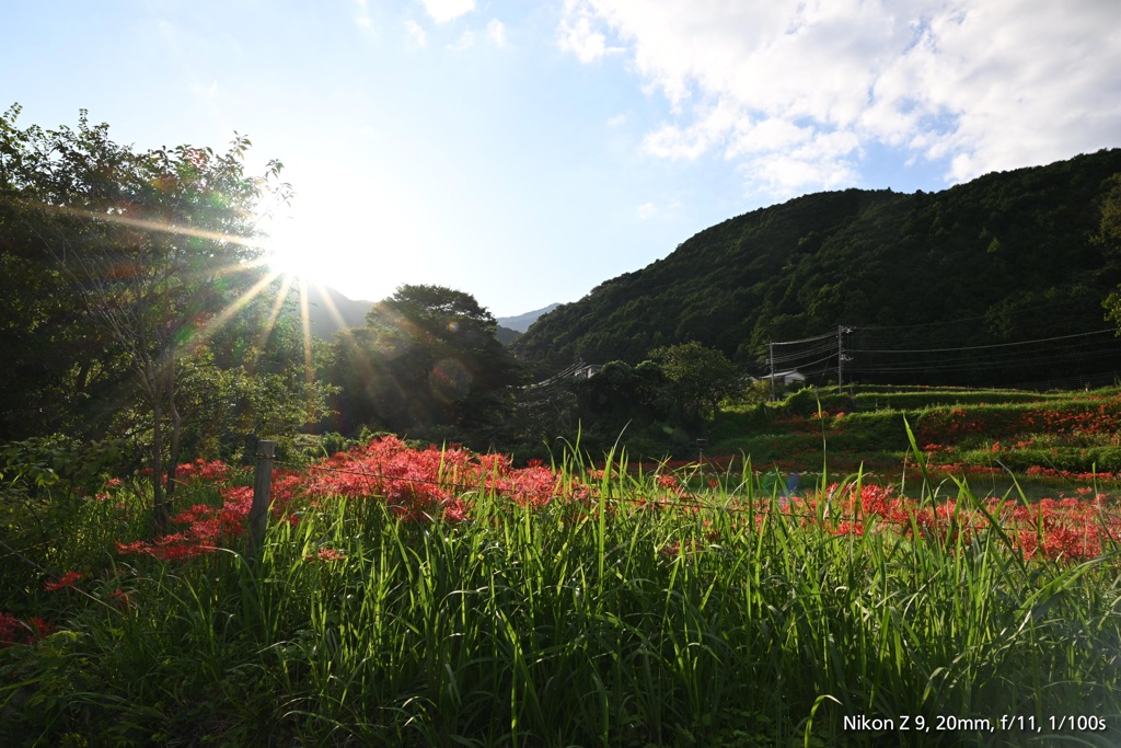 山村の夕方