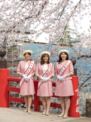 弘前さくらまつり