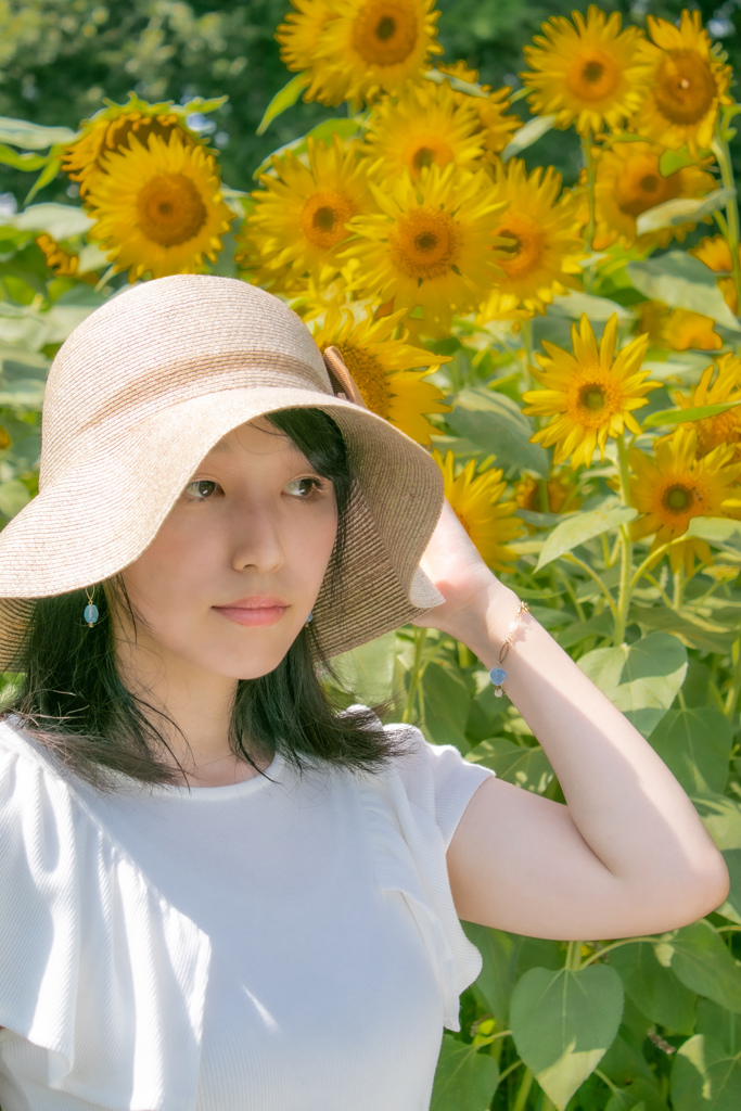 ひまわり