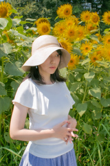 ひまわり