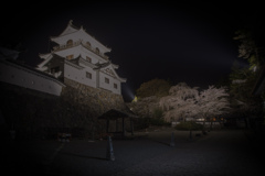 白石城の桜