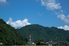待ち遠しい夏