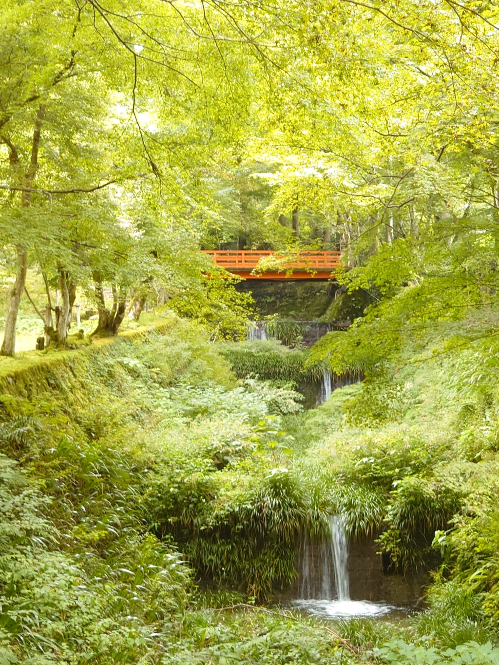 三千院にて
