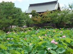 天龍寺にて